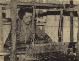 Kép Varga Zoltánné